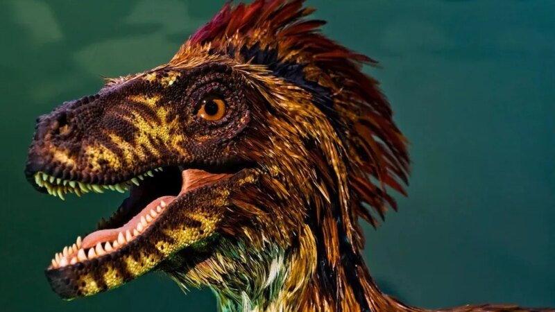 Динозавры были похожи на гигантских цыплят, а не на ящериц
