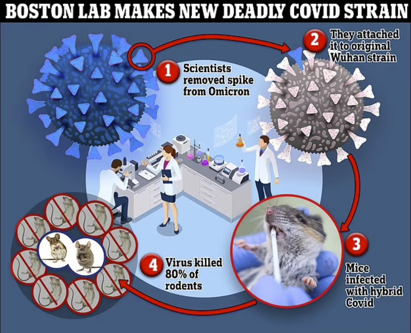 Возмущение, вызванное тем, что бостонская лаборатория создает новый смертельный штамм COVID с коэффициентом смертности 80%, повторяя опасные эксперименты, которые, как опасались, вызвали пандемию.
