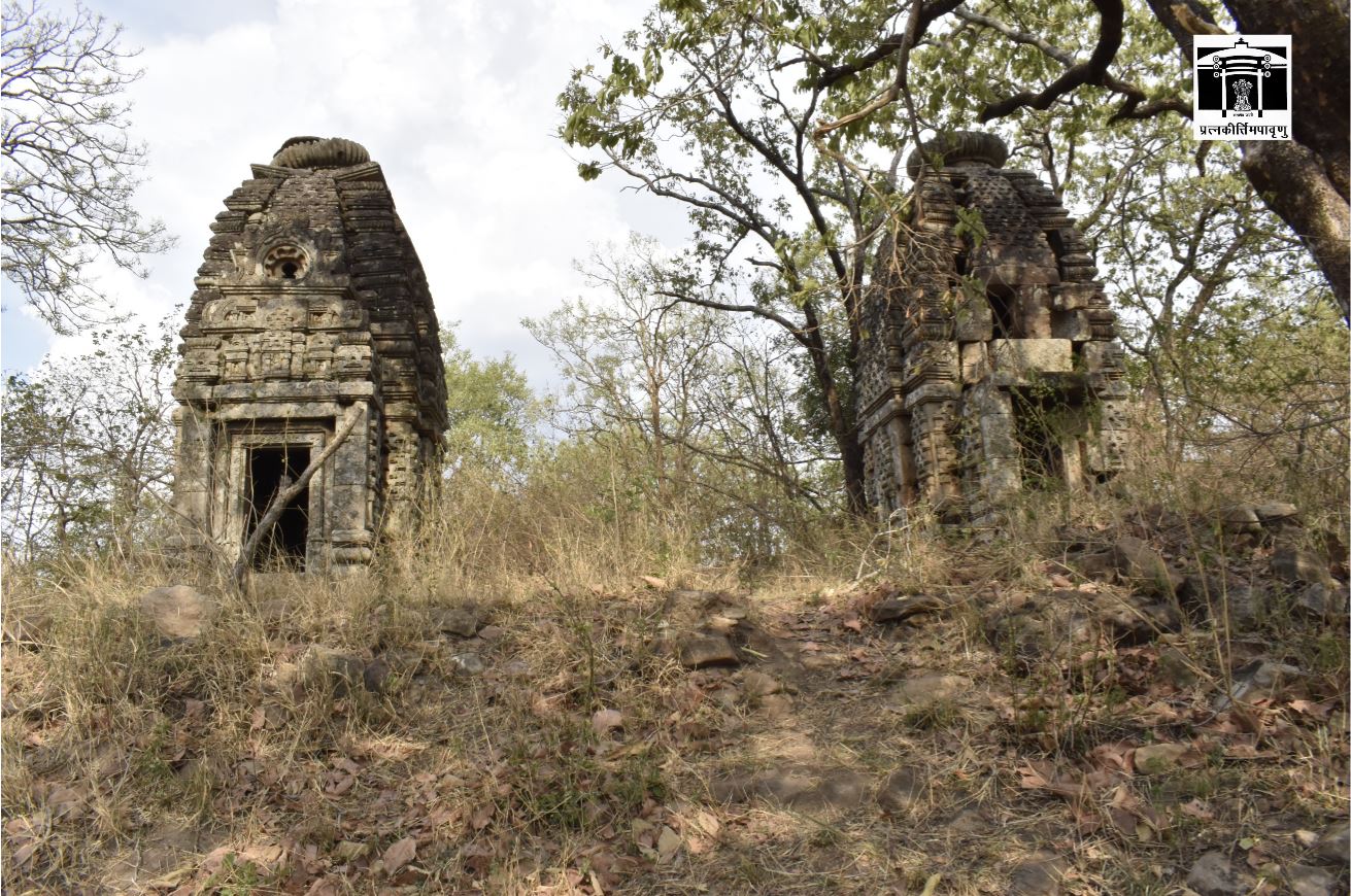 В Индии найдены буддийские статуи затерянных древних храмов