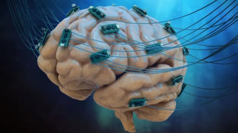 Neuralink начнет тестировать мозговые чипы на людях через шесть месяцев