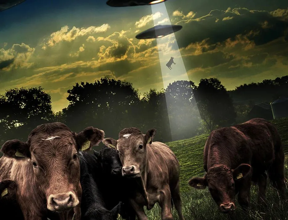 За 2 месяца таинственное ЧТО-ТО убило около 60 коров в Колорадо.