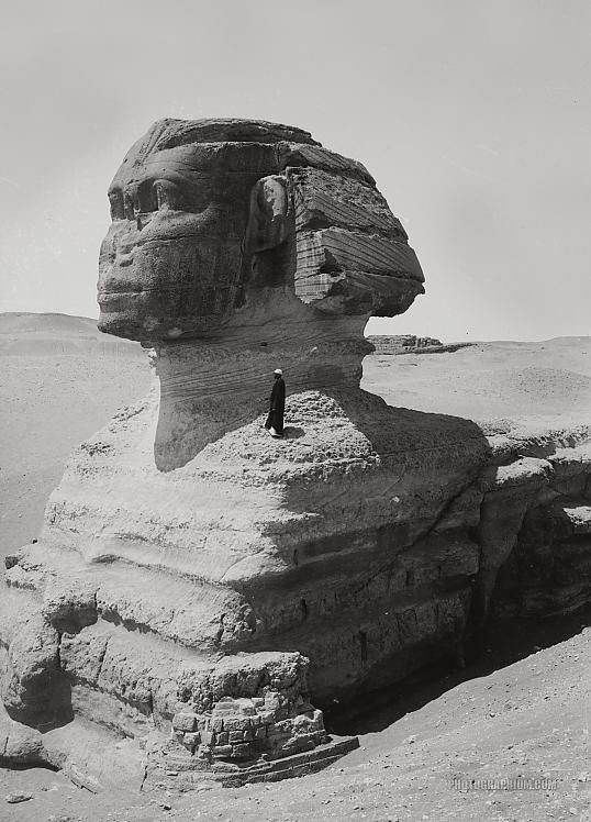 Профиль Сфинкса Гиза Египет 1900-1920 гг. Изображение предоставлено: Исторический фотоархив Photographium.