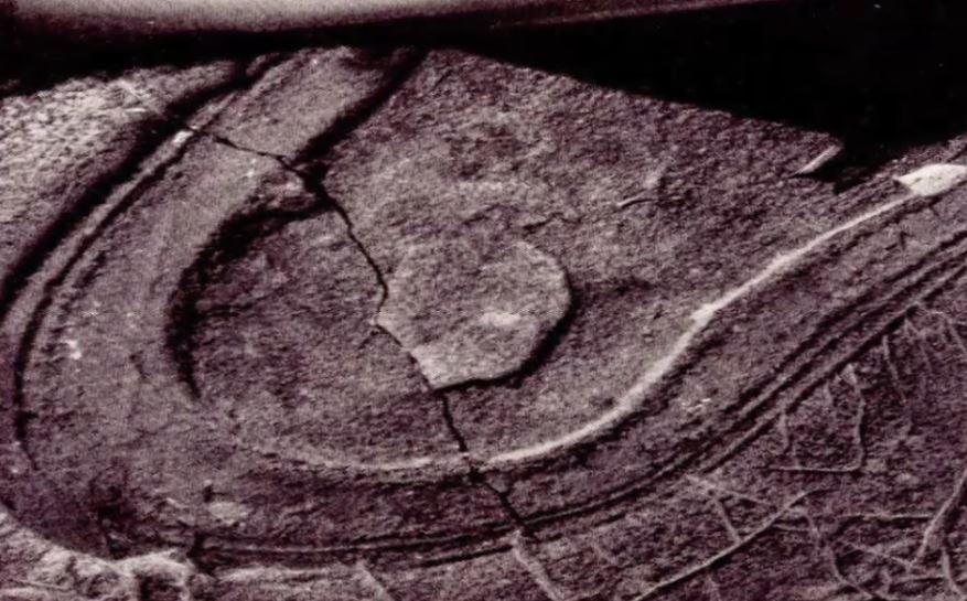 Тайна отпечатка обуви возрастом 200 миллионов лет