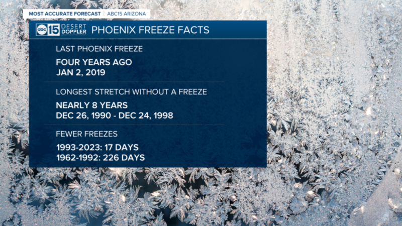 Аризона: самый холодный день в Долине с 2019 года — сегодняшняя ночь также может стать самой холодной ночью за четыре года.