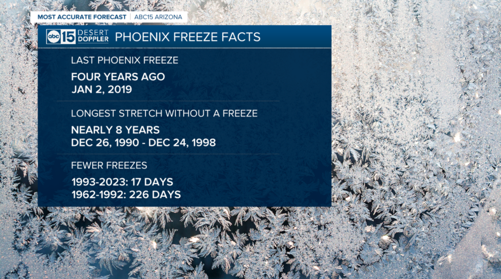 Аризона: самый холодный день в Долине с 2019 года — сегодняшняя ночь также может стать самой холодной ночью за четыре года.