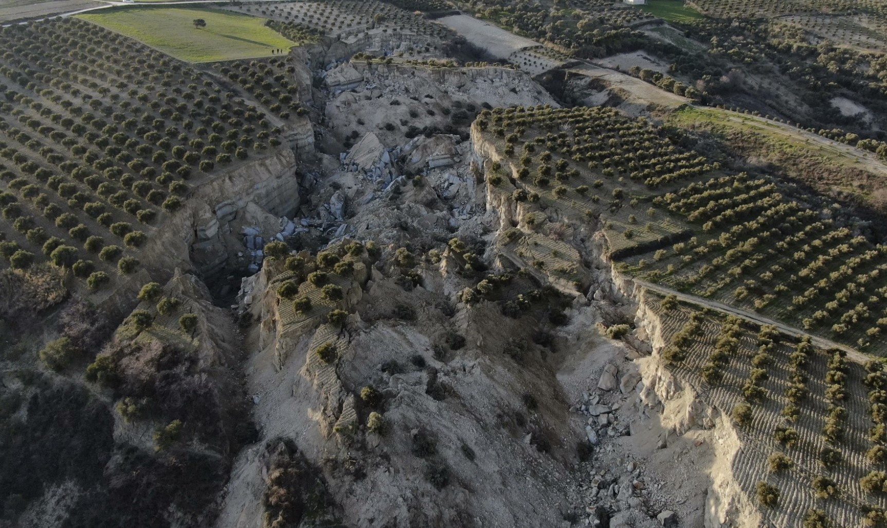 Страшное видео показывает, как оливковая роща превратилась в гигантский каньон после того, как землетрясение в Турции раскололо землю огромными трещинами.