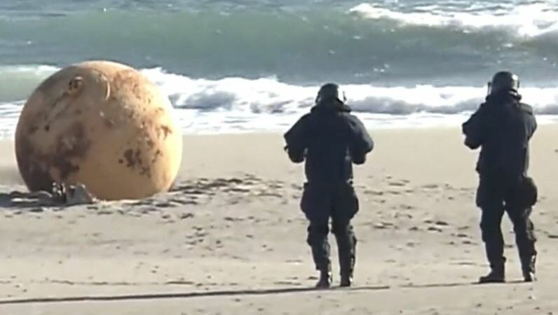Чиновники исследуют загадочную сферу, найденную на пляже