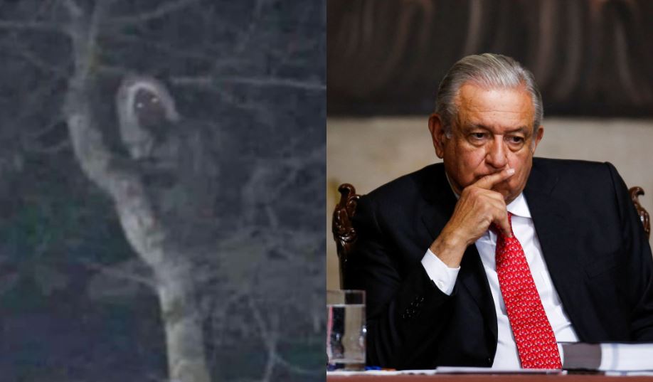 Президент Мексики опубликовал фото местного криптида
