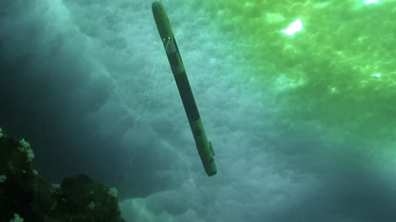 Посмотрите потрясающие подводные кадры ледника Туэйтса «Судный день»
