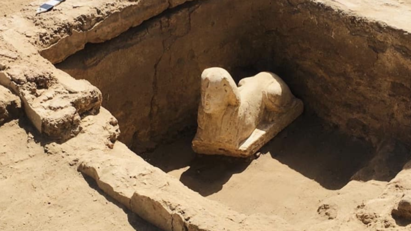Археологи обнаружили в Египте редкого сфинкса