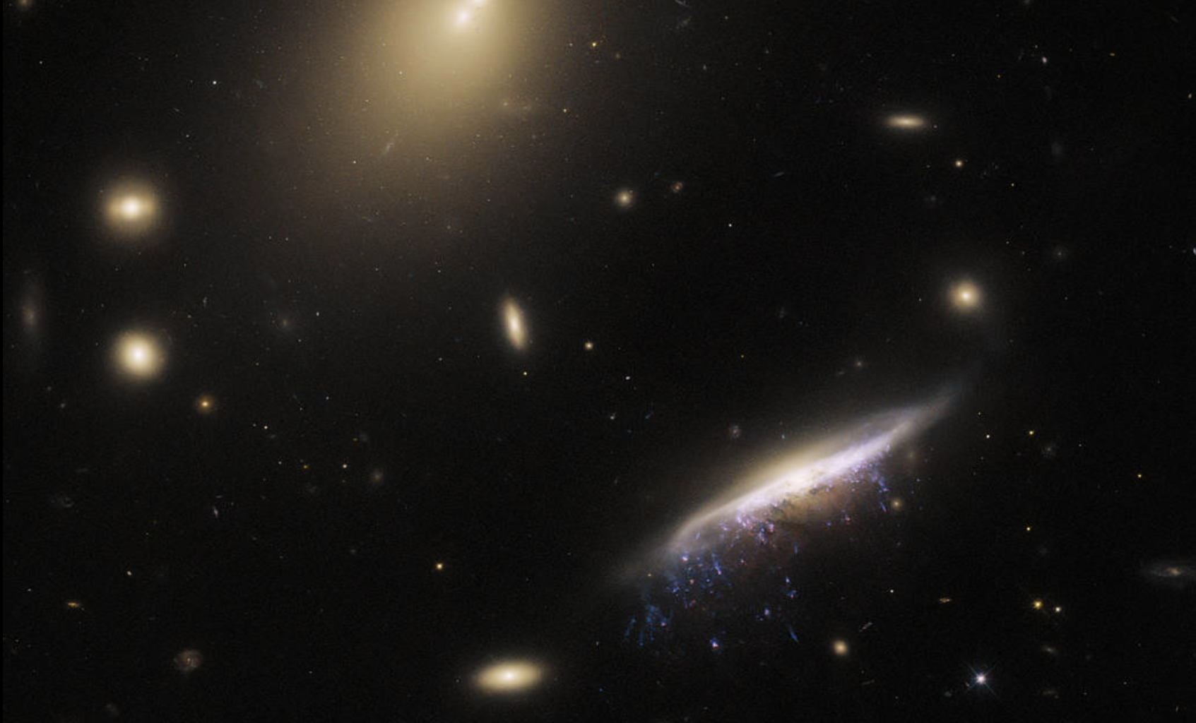 Хаббл показал потрясающую галактику-медузу и ее звездообразующие щупальца