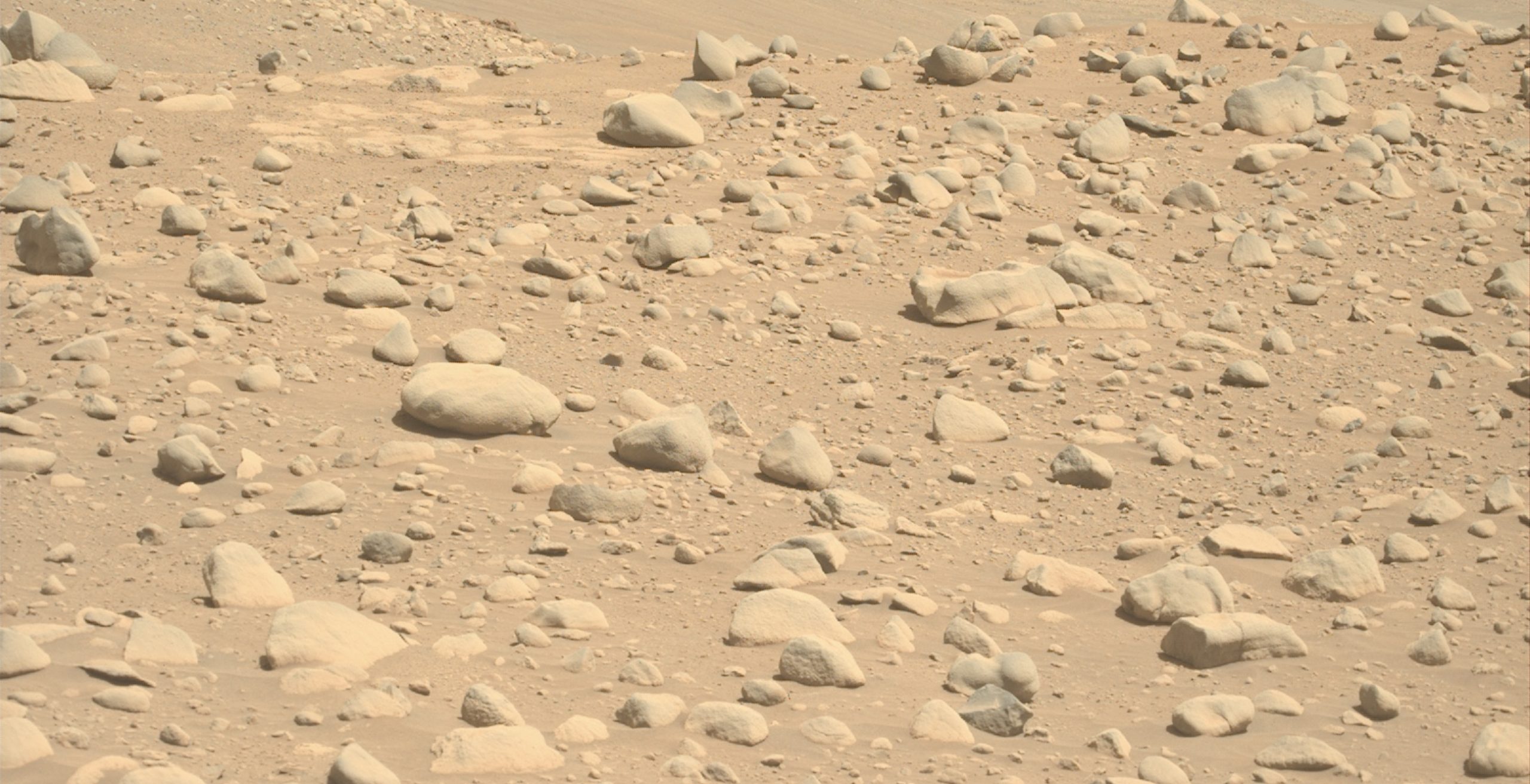 Perseverance исследует валуны в кратере Джезеро, раскрывая прошлое Марса