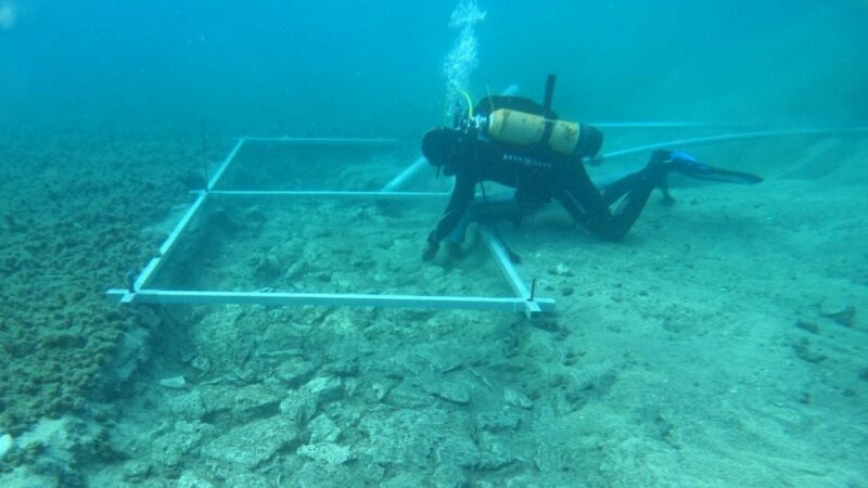 Загадочная 7000-летняя дорога обнаружена под водой