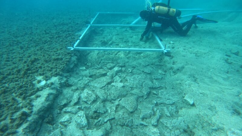 Подводные археологи обнаружили в Хорватии 7000-летнюю дорогу