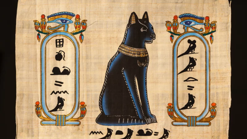 Хранители божественного и символы кошачьего величия