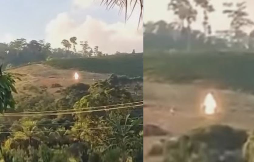 Светящегося гуманоида сняли на видео в бразильских джунглях