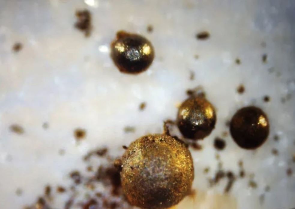 Металлические шарики обнаружены на дне океана экспедицией Ави Леба.