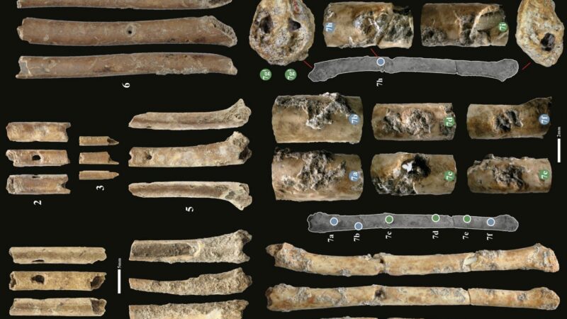 Археологи обнаружили завораживающие костяные флейты возрастом 12 000 лет