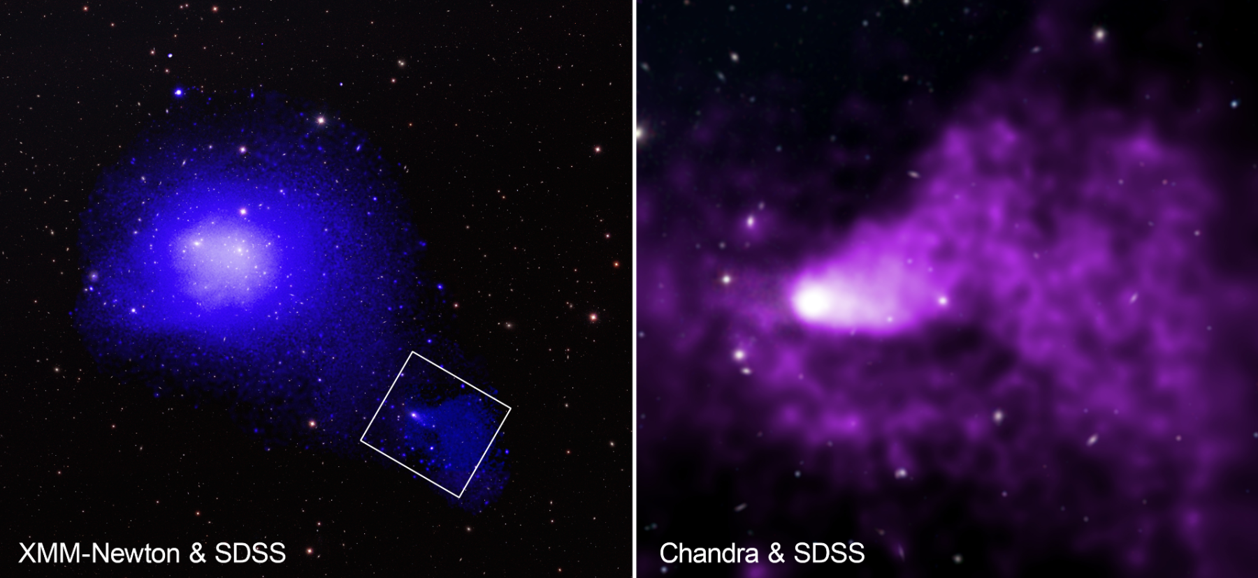Группа Галактики погружается в скопление Комы, высвобождая эпический хвост перегретого газа