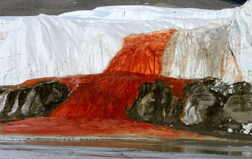 Таинственные Кровавые водопады Антарктиды состоят не из минералов