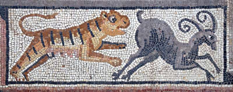 В Хукоке найдено мозаичное панно позднеримской эпохи