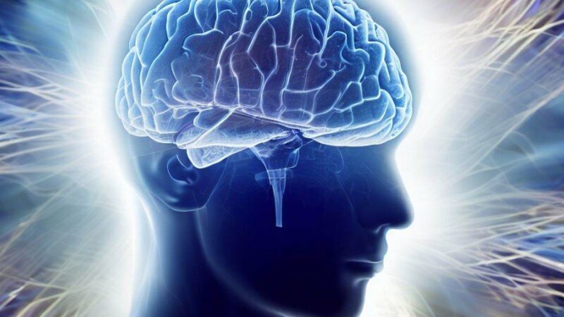 Сознание может зависеть от коллективной работы клеток мозга