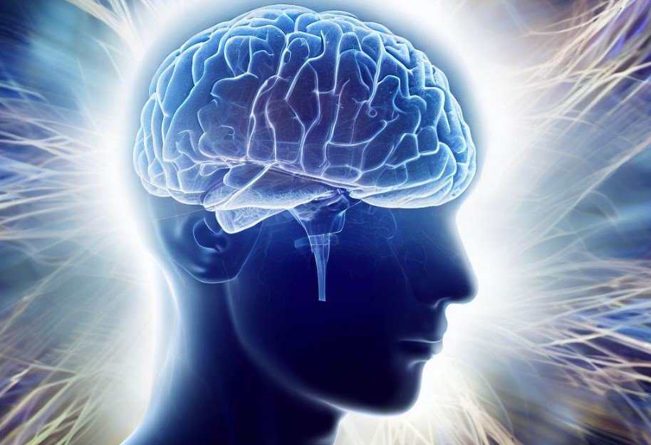 Человеческий мозг становится больше с каждым поколением, показало исследование