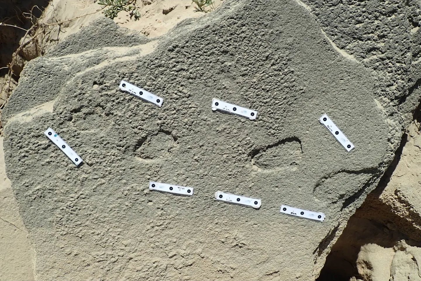 Палеоантропологи обнаружили в Африке отпечатки обуви возрастом 100 000 лет