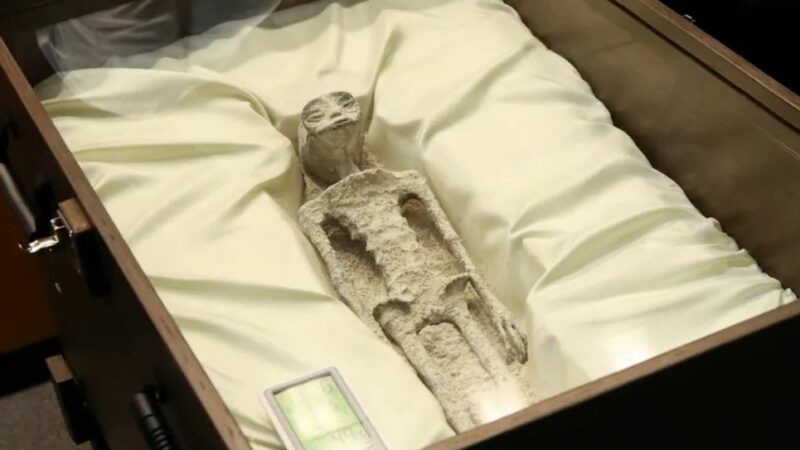 Предполагаемые “внеземные останки” были обнаружены на слушаниях в конгрессе в Мехико