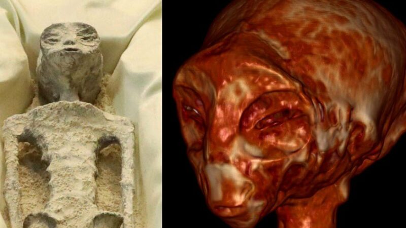 Проведена компьютерная томография “пришельца” из Перу