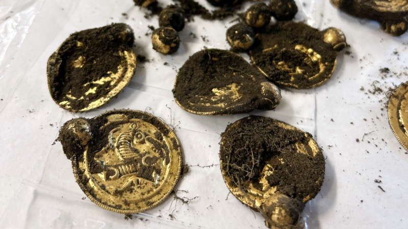 Мужчина обнаружил невероятные древние сокровища с помощью металлоискателя