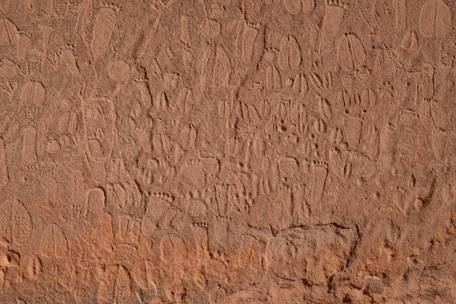 Расшифровка древних наскальных рисунков Намибии
