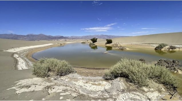 Редкие эфемерные озера образуются в Долине Смерти после сильного шторма