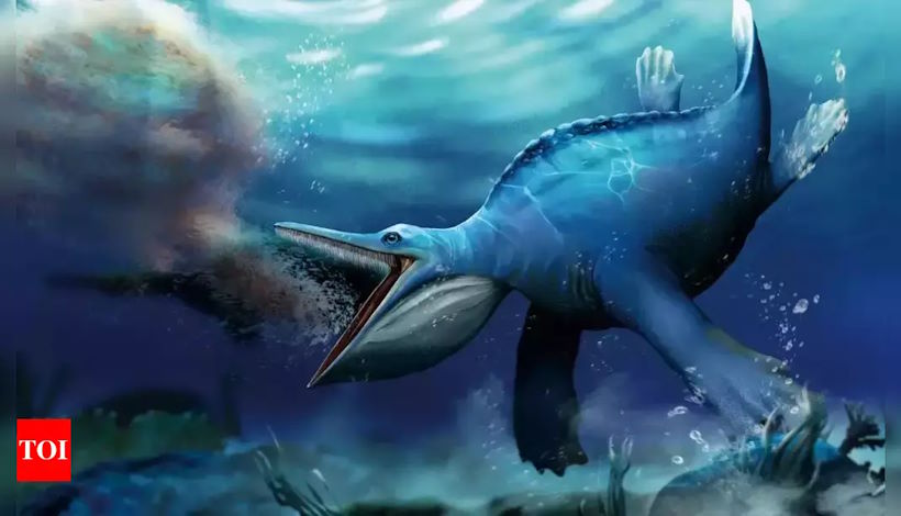 Морская рептилия: Обнаружение древней морской рептилии свидетельствует о существовании древнейшего мегахищника
