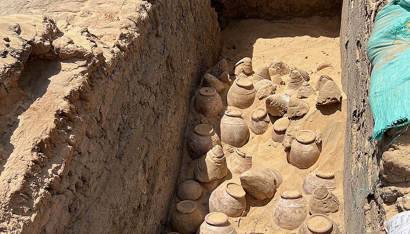 Археологи обнаружили в древнеегипетской гробнице вино возрастом 5 тыс. лет
