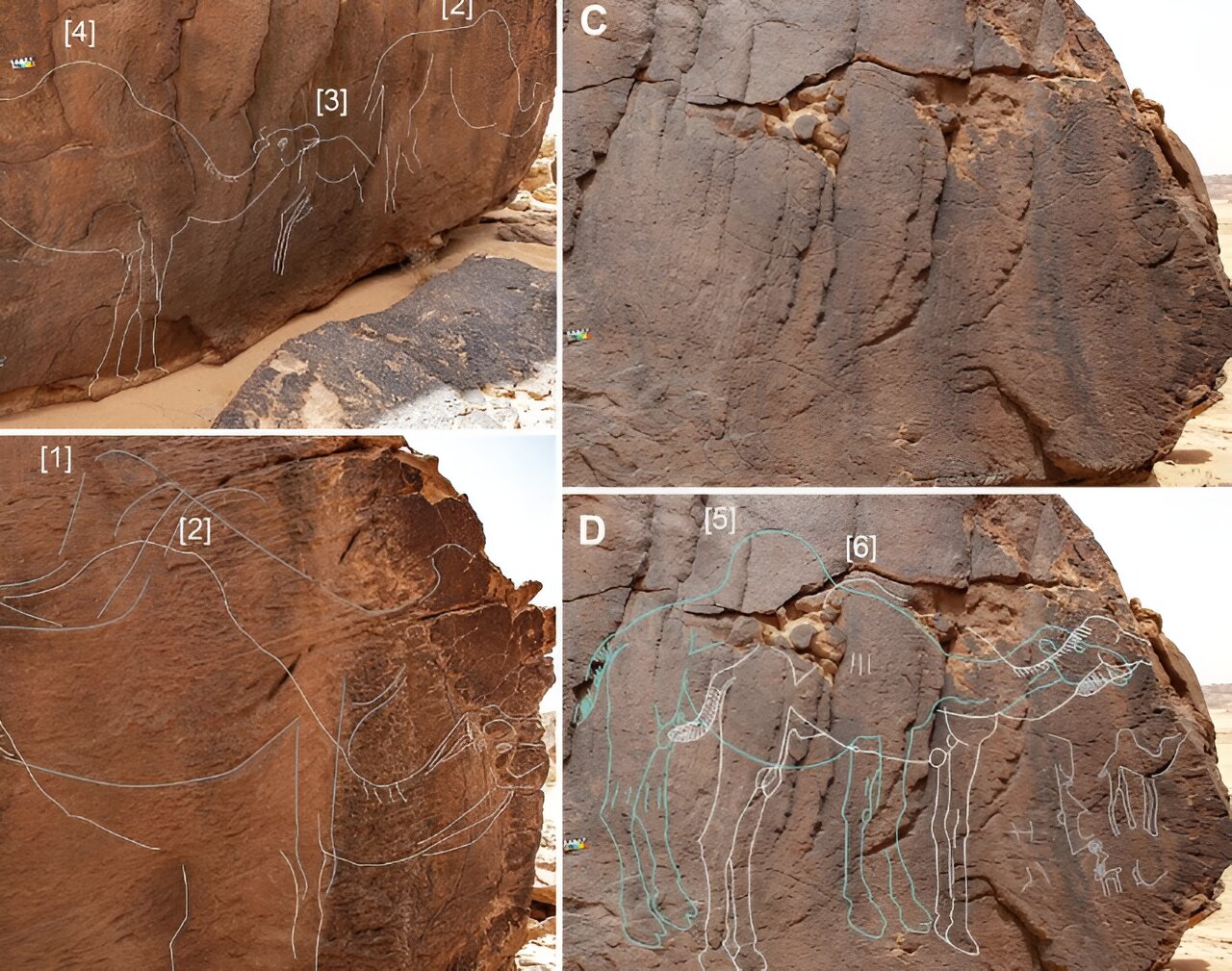 Ancient Carvings of Extinct Camels. Credit: Archaeological Research in Asia (2023). DOI: 10.1016/j.ara.2023.100483.