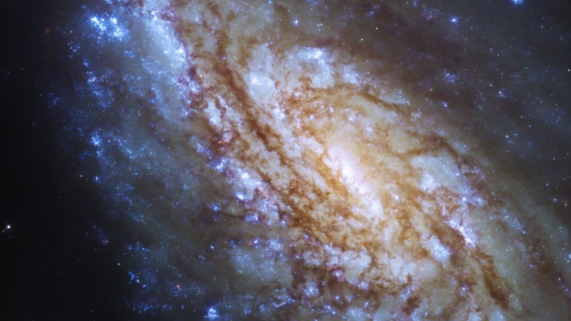 Потрясающий вид NGC 4654, полученный с помощью космического телескопа Хаббл