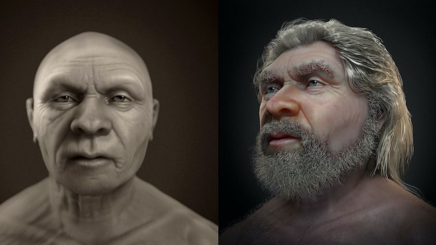 Обветренное лицо “старика” неандертальца оживает в новой удивительной реконструкции лица