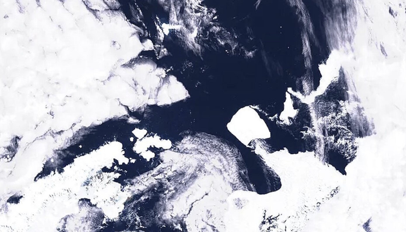 Серьезные проблемы впереди?  Самый большой в мире айсберг впервые за десятилетия начал двигаться в Антарктиде