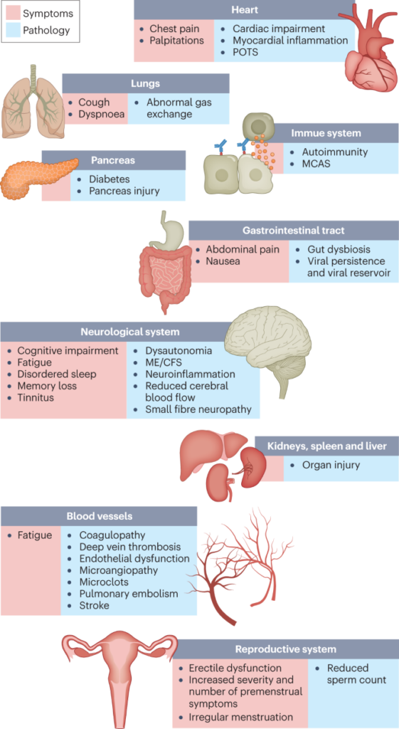 Длительные симптомы COVID и влияние на многочисленные органы с различной патологией