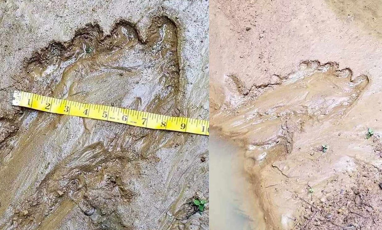 Житель Западной Вирджинии нашел в грязи отпечаток ноги “снежного человека”