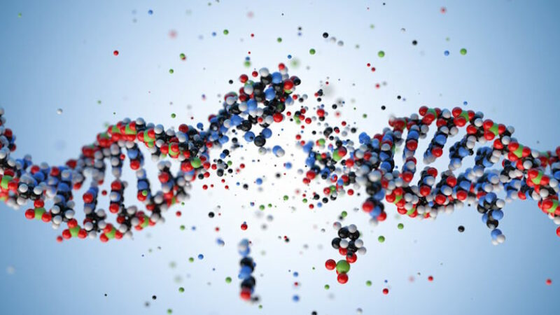 Разгадка тайны: Новые гены появляются из глубин ДНК
