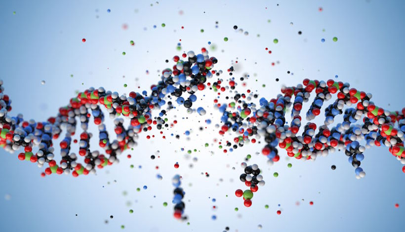 Разгадка тайны: Новые гены появляются из глубин ДНК