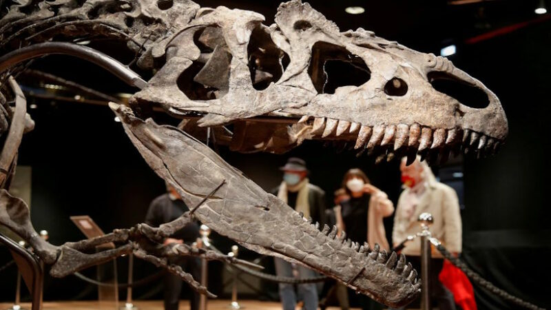 Взрывоопасная теория гибели динозавров