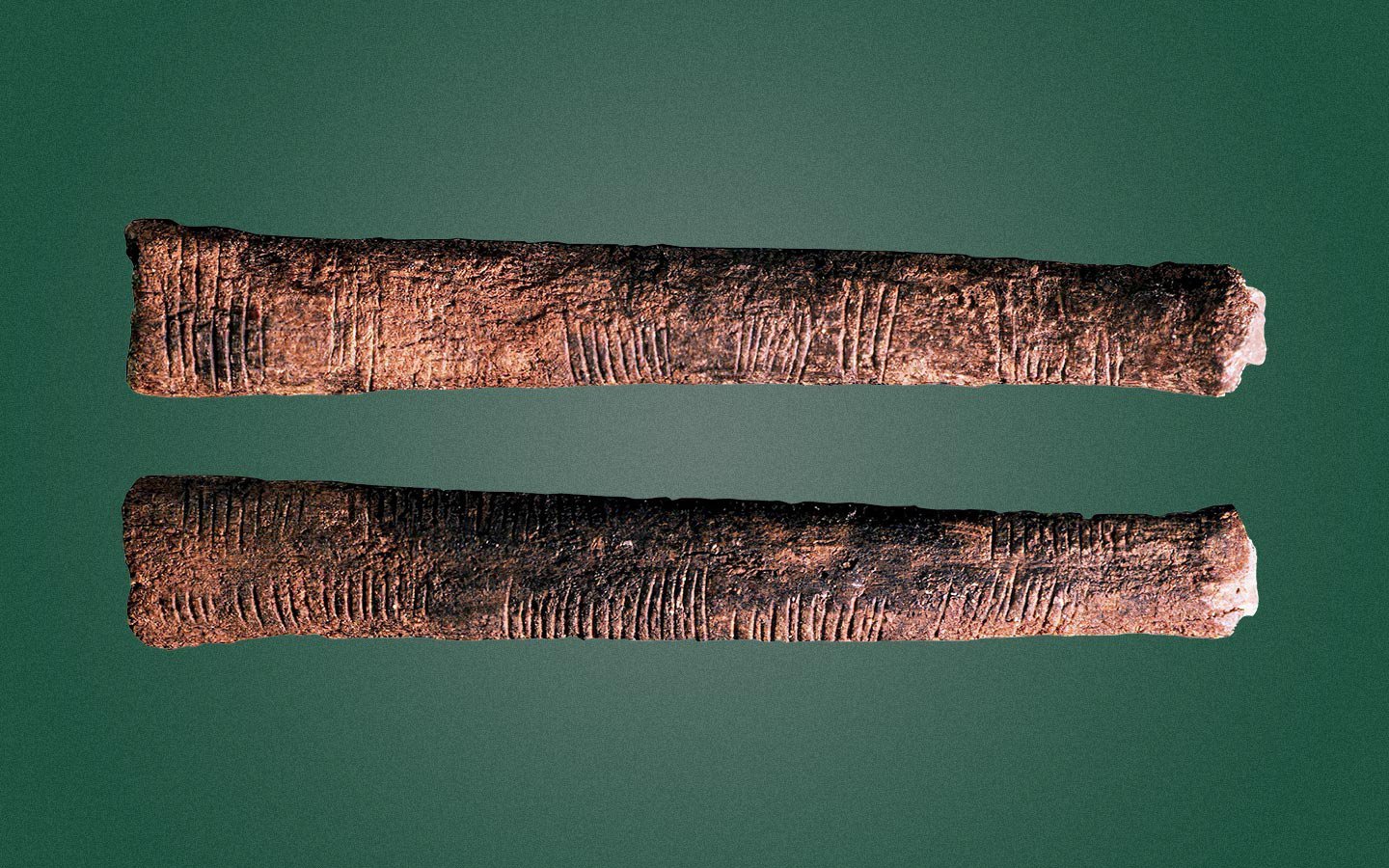 Кость Ишанго: математическая загадка возрастом 20 000 лет