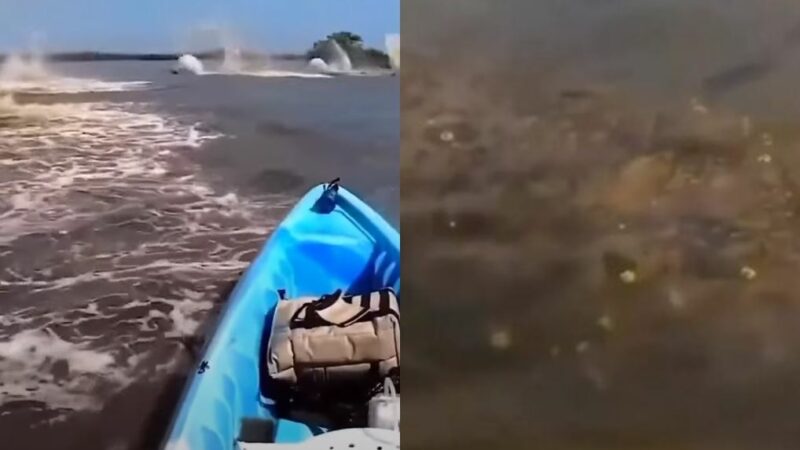 Таинственные существа окружили лодку каякера, плывущего по реке Амазонке