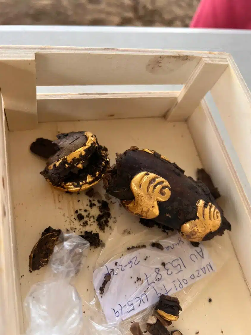 Некоторые золотые артефакты, найденные в гробнице. Фото: Министерство культуры Панамы.