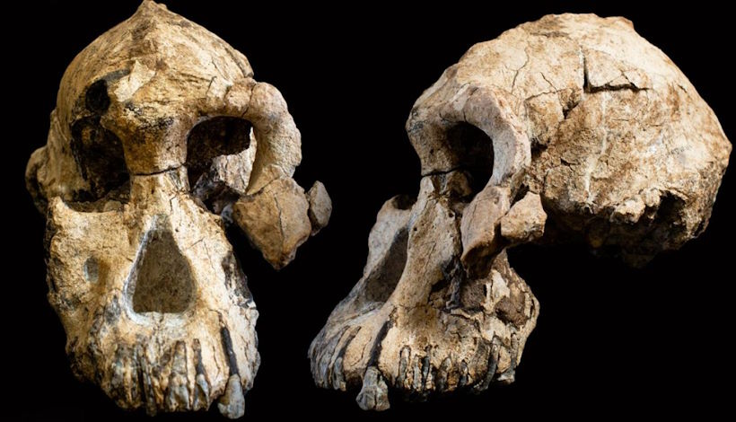 Окаменелости “колыбели человечества” могут быть на миллион лет старше, чем считалось ранее