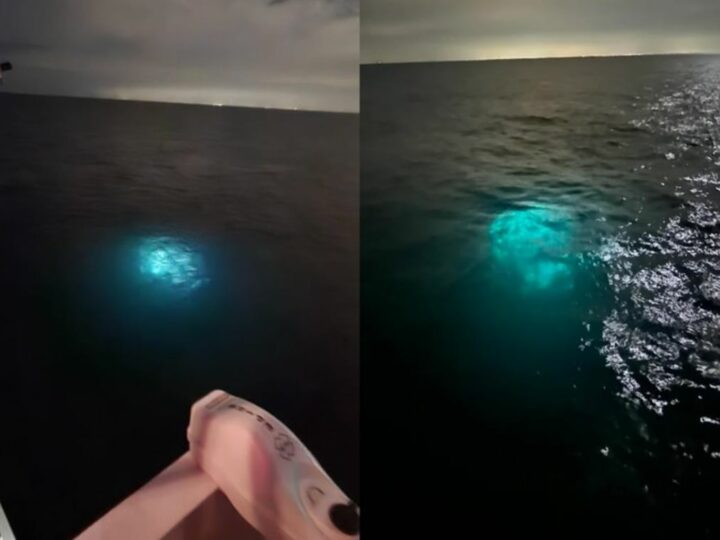 USO излучает мощный свет, снятый исследовательским судном в Мексиканском заливе