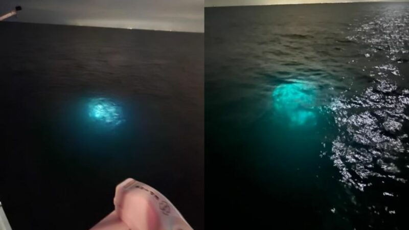 USO излучает мощный свет, снятый исследовательским судном в Мексиканском заливе